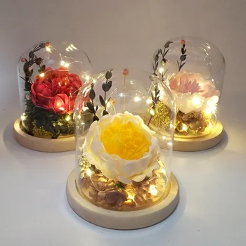 Romantiline Kingitus Naistele sõbrapäeva Kuivatatud Päevalille-LED Light String Klaasist Kuppel Puidust Alus Pulmapidu Decor
