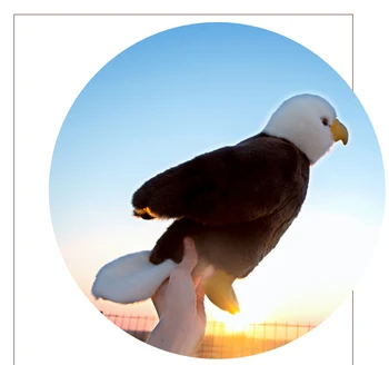 Elutruu Bald Eagle Lind Simulatsioon Loomade Pehme Täidisega -, Plüüš-Mänguasi, Nukk Lastele, Beebi Jõulud Kingitus 32cm