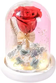 Kunstlik Lill, Käsitöö Konserveeritud Rose Klaasist Kuppel Kingitus ystävänpäivä Aastapäeva Pulmi, Sünnipäeva Klaas Roosa 0